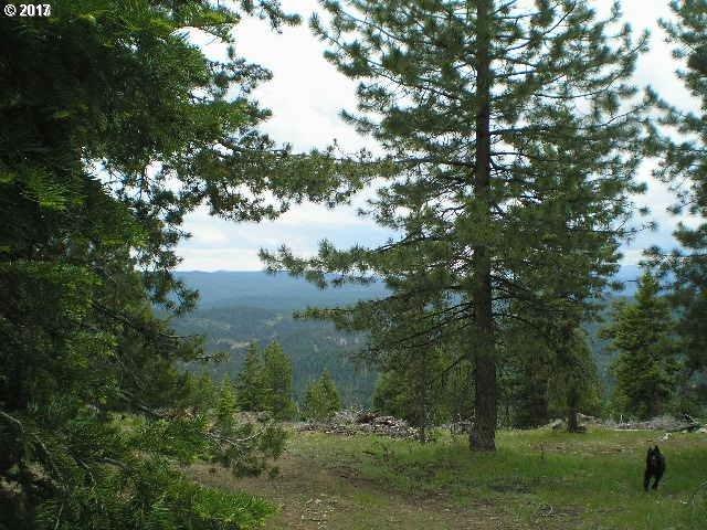 0 Greenhorn Rd - Photo 1