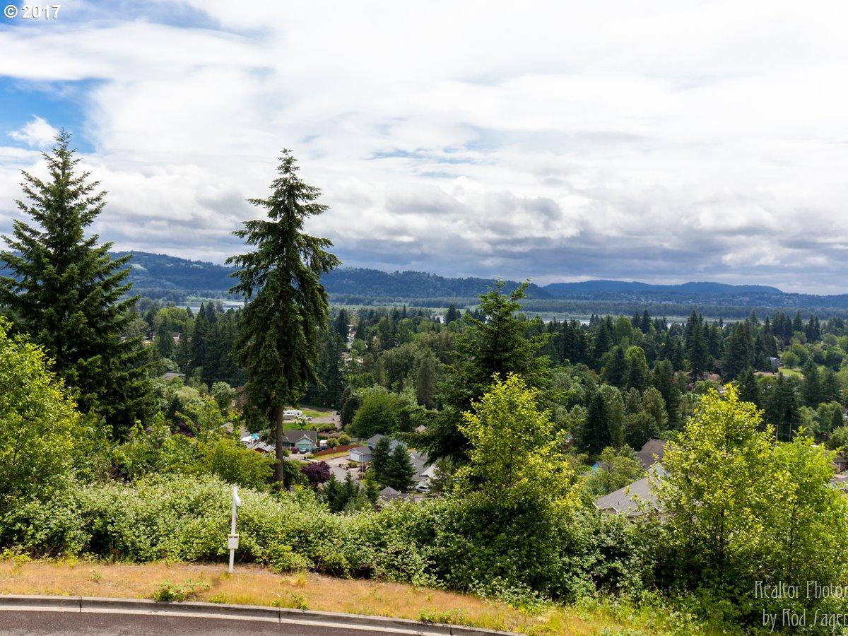1552 Columbia Ridge Way - Photo 1
