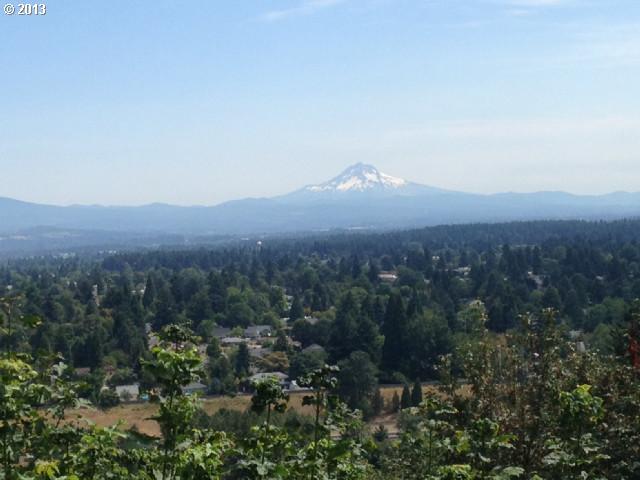0 Rocky Butte Rd - Photo 1