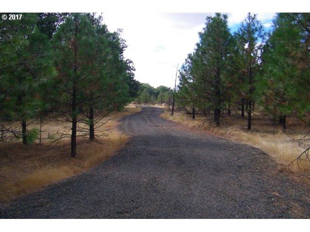 Old Stage Rd - Photo 1