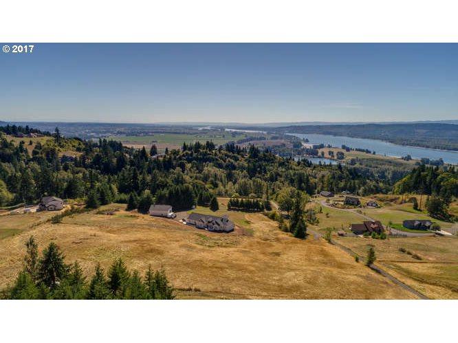 294 Large Rd - Photo 1