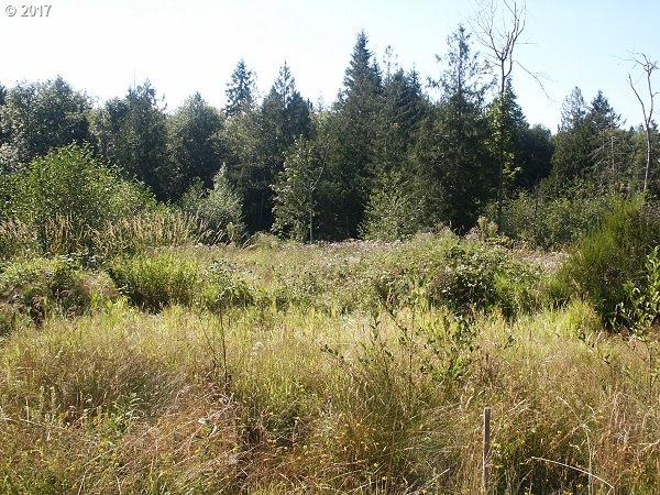 106 Rice Park Rd - Photo 1