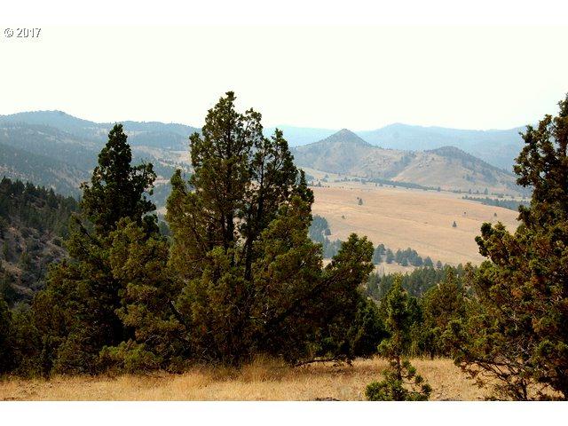 0 Coyote Ln - Photo 1