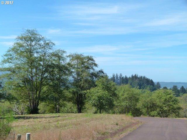 Wapiti Way - Photo 1