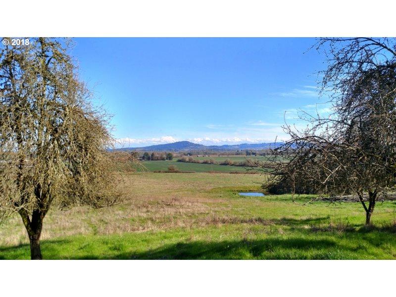 0 Oldsville Rd - Photo 1