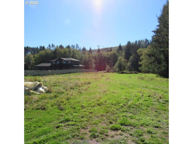 600 Elochoman Valley Rd - Photo 1