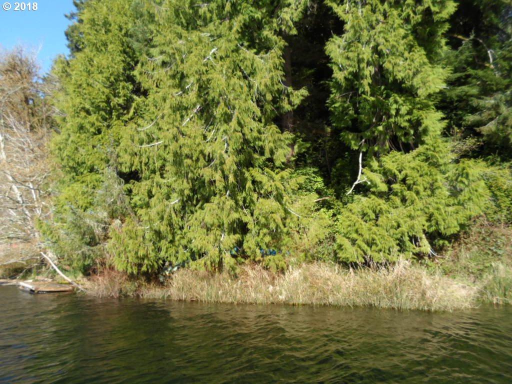 0 N Tenmile Lake - Photo 1