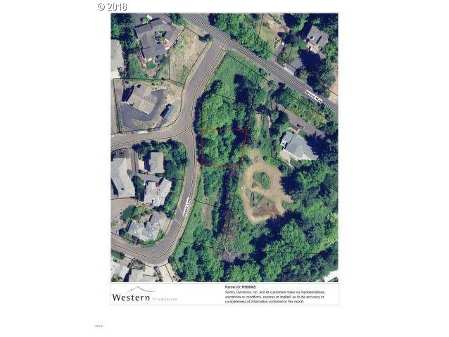 400 Scenic Loop - Photo 1
