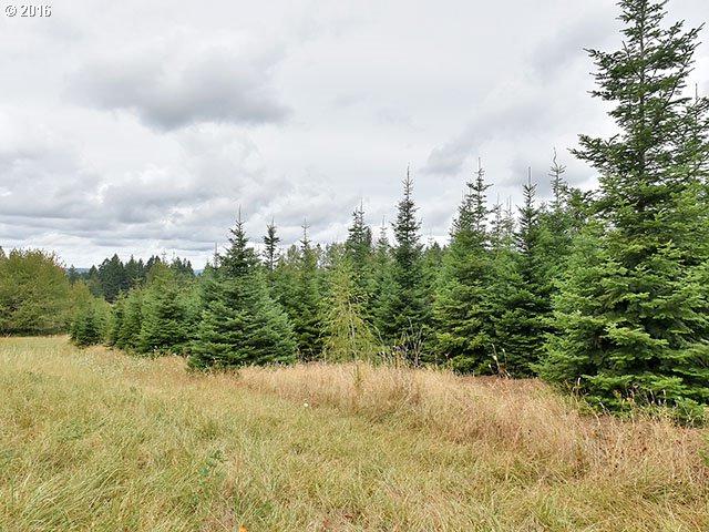 0 Duus Rd - Photo 1