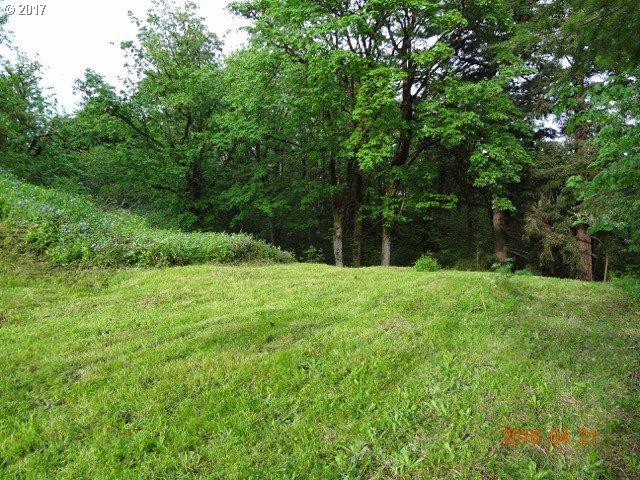 2919 3RD Ave - Photo 1