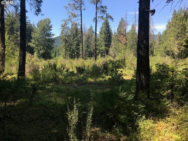 54763 Caddis Ln - Photo 1