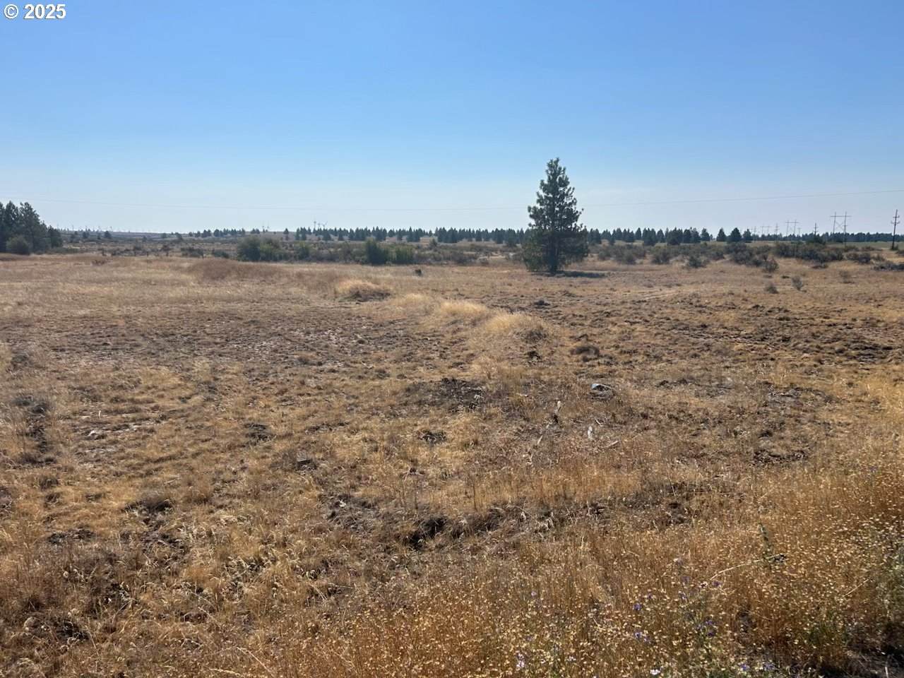  Blk 27 26Bickleton Hwy - Photo 1