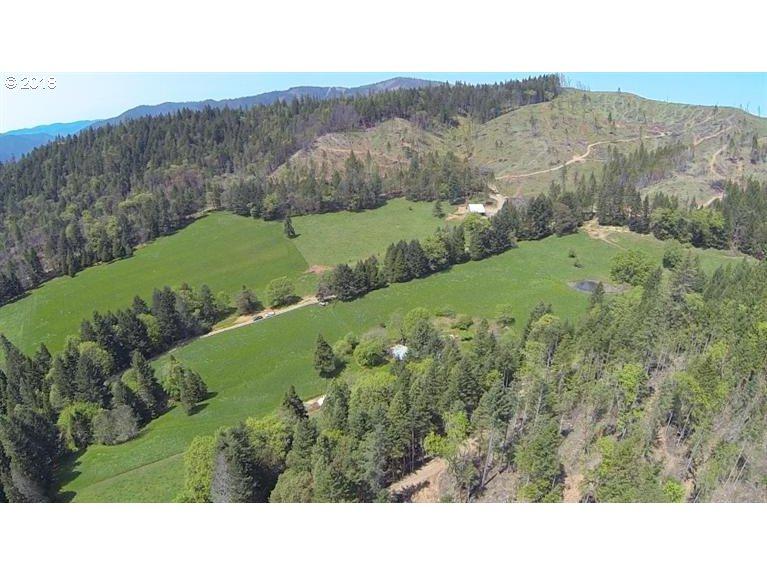 6160 Lower Grave Creek Rd - Photo 1