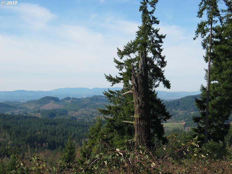 30953 Fox Hollow Rd - Photo 1