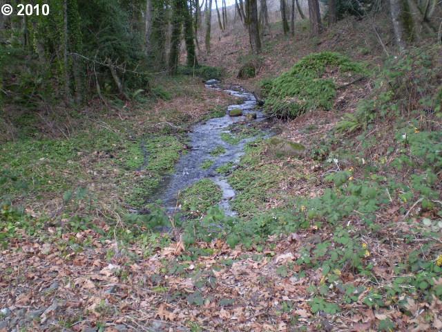 0 Evergreen Hwy - Photo 1