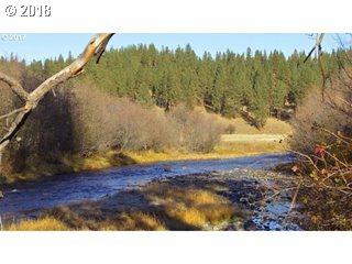 Grande Ronde River Rd - Photo 1