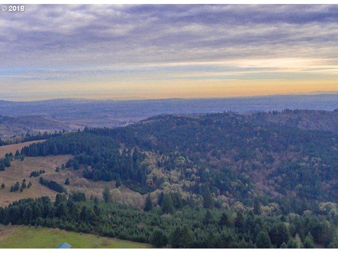 13474 Dupee Valley Rd - Photo 1