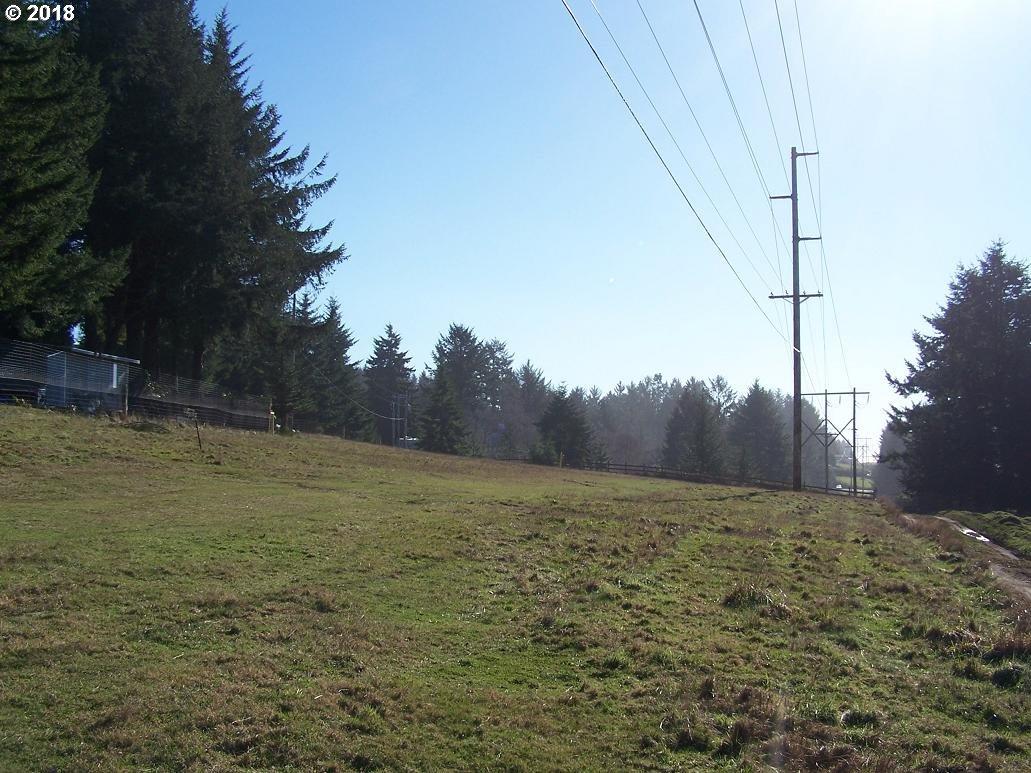 Cape Ferrelo Rd - Photo 1