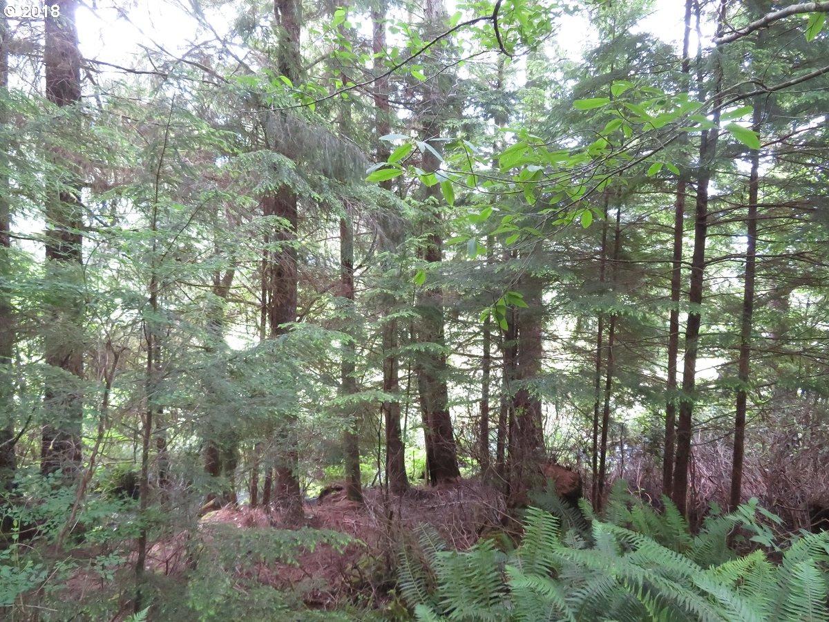Nemah Rd - Photo 1