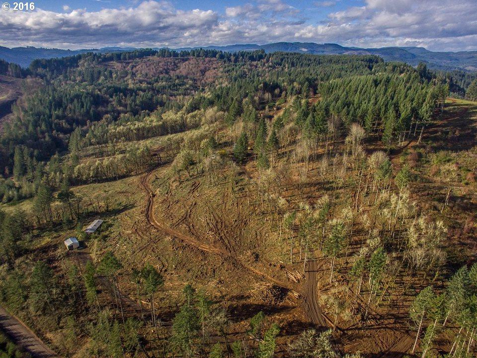 22404 Eagle Point Rd - Photo 1