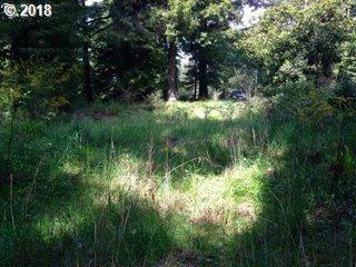 48250 Highway 101 - Photo 1