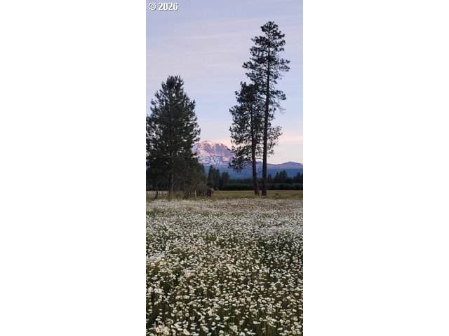 https://bt-photos.global.ssl.fastly.net/portland/orig_boomver_1_189481807-2.jpg