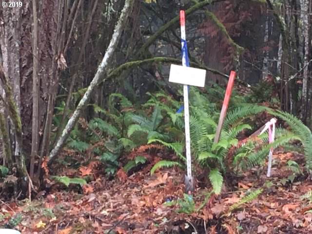 Maple Meadows - Photo 1