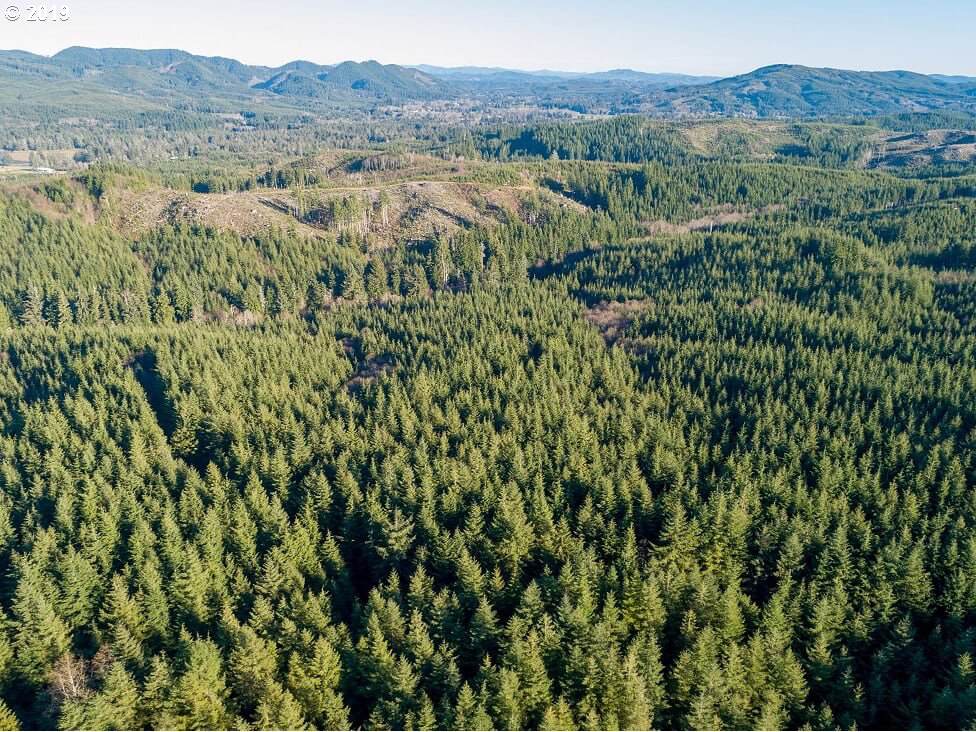 2 Dell Creek Mainline - Photo 1