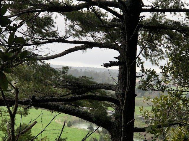 Floras Creek Road - Photo 1