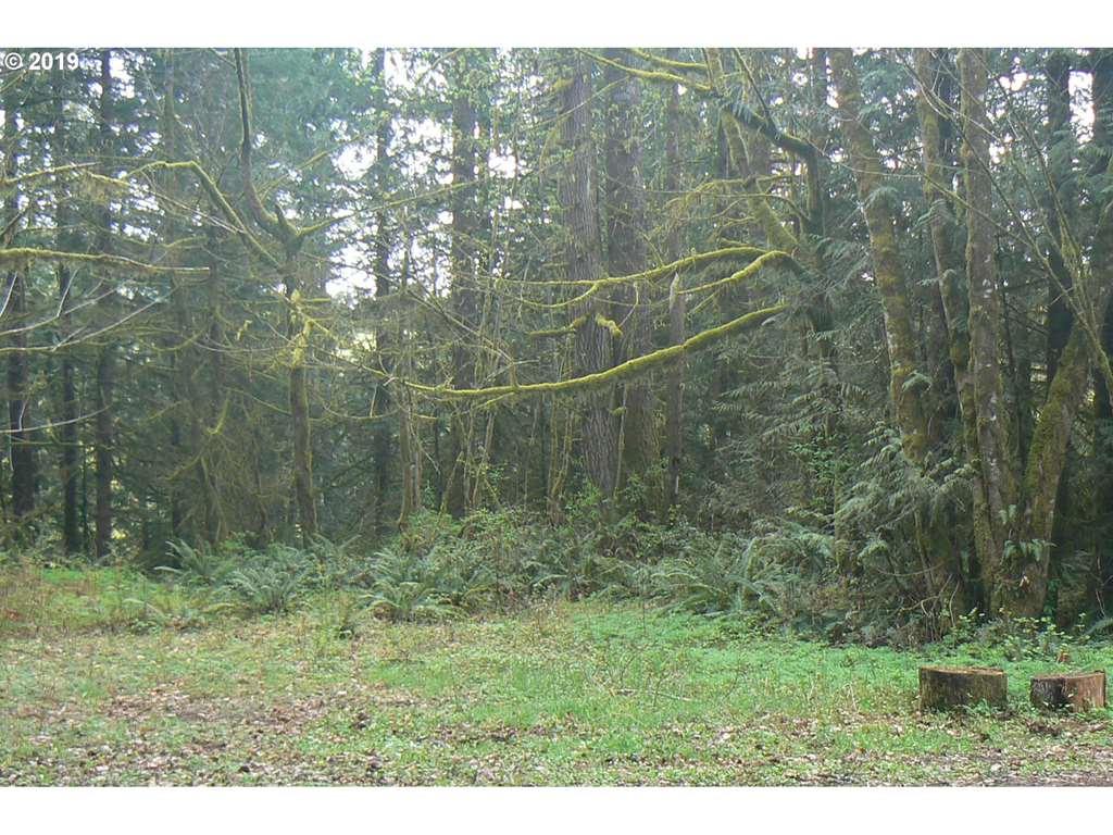 0 Old Pup Creek Rd - Photo 1