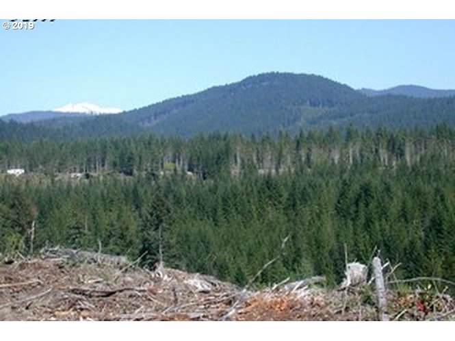 Pine Boulder - Photo 1