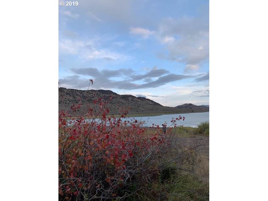 0 Rice Rd - Photo 1