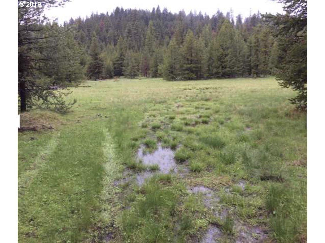 Camp Creek - Photo 1