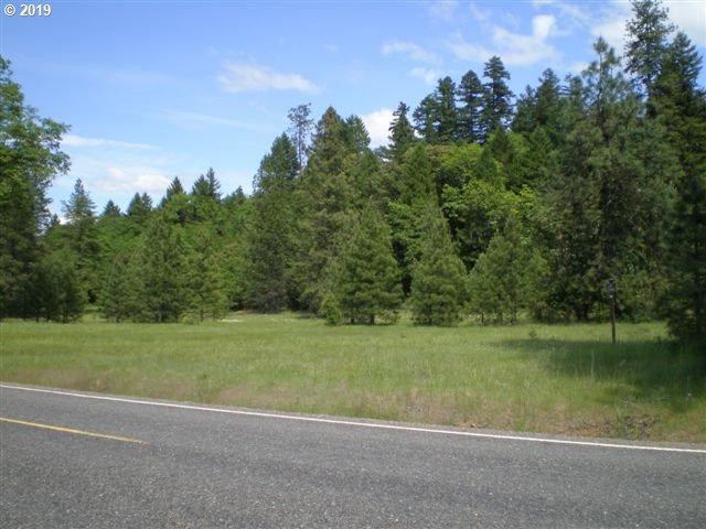 0 Dick George Rd - Photo 1