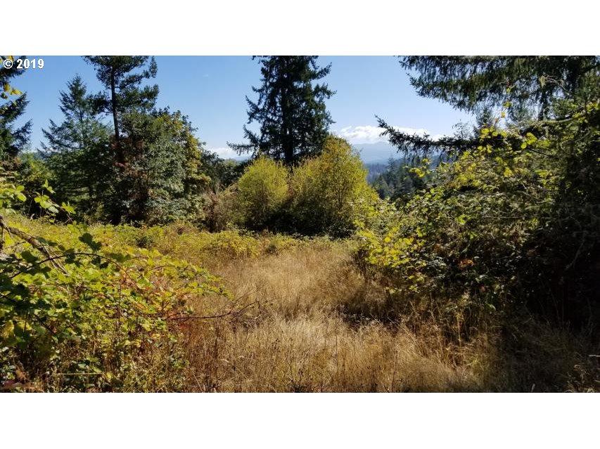 808 First Creek Rd - Photo 1