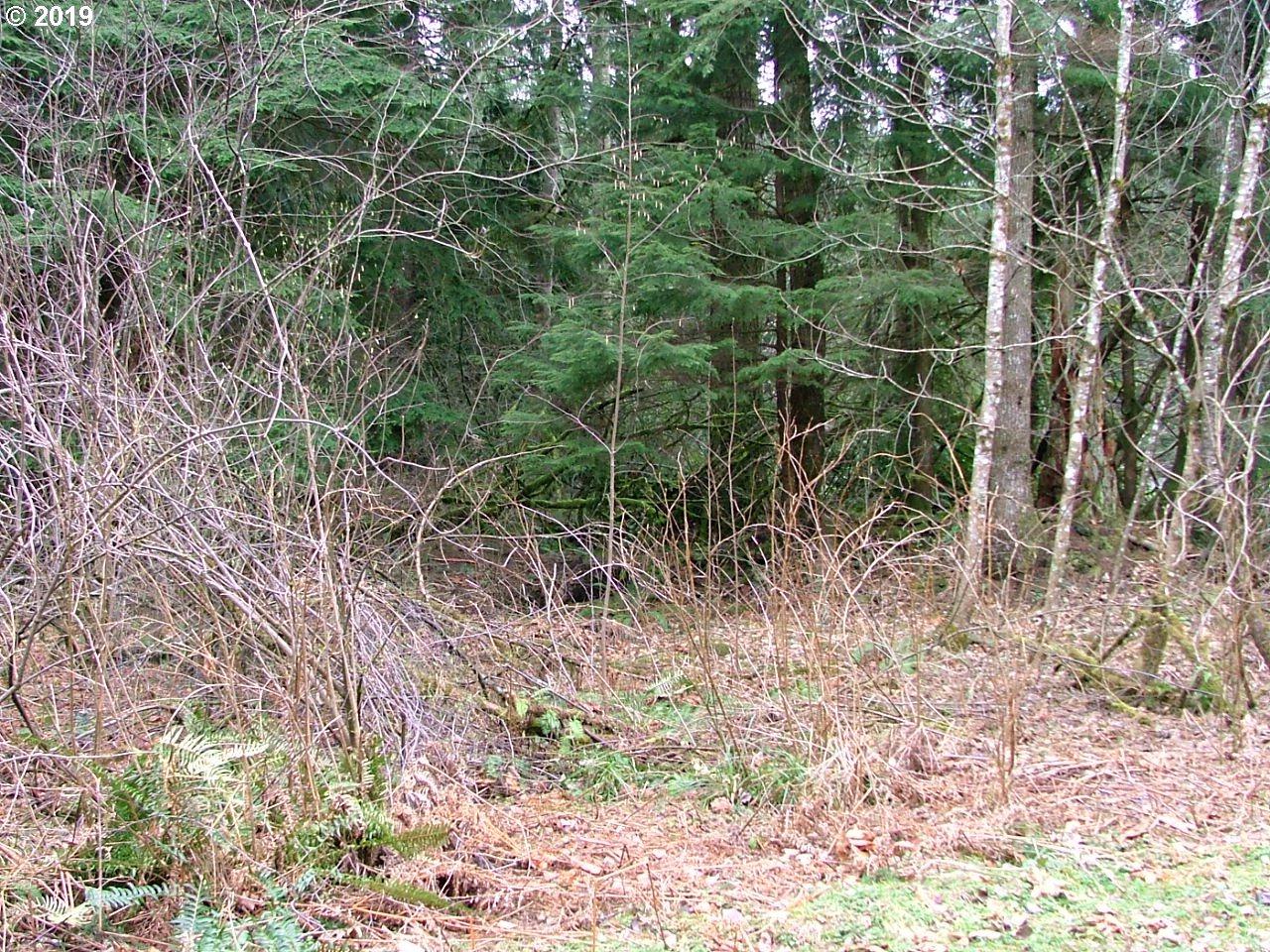 0 Sylvan Way - Photo 1