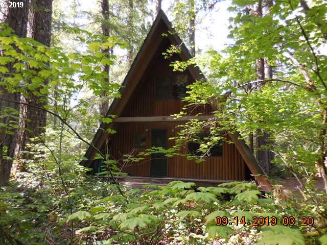 Cabin 75 Northwoods - Photo 1