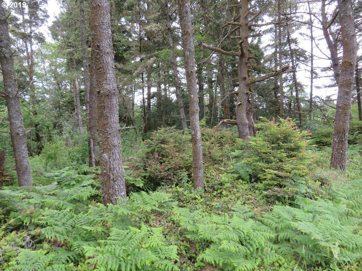 Pacific Way - Photo 1