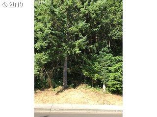 924 Mountaingate Dr - Photo 1