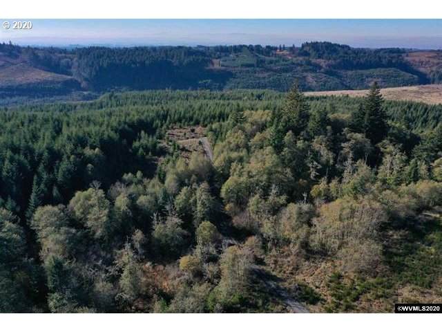 423 Phelps Mountain Ln - Photo 1