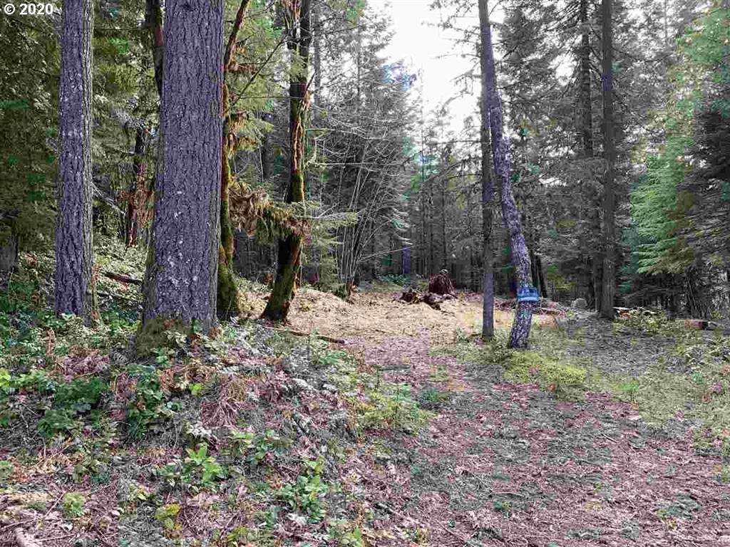 270 Cedar Ave - Photo 1