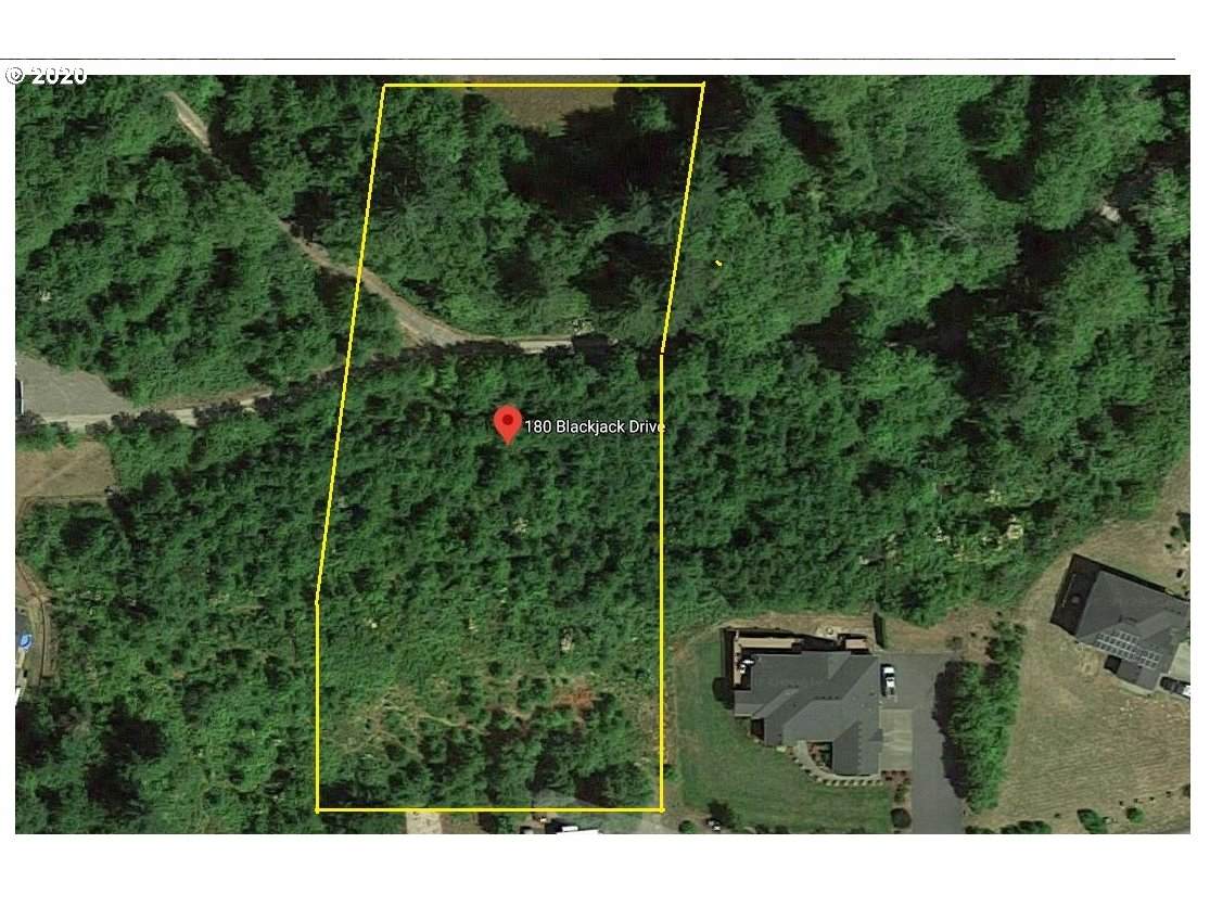 180 Black Jack Dr - Photo 1