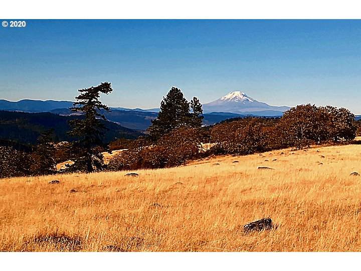 Ketchum - Photo 1