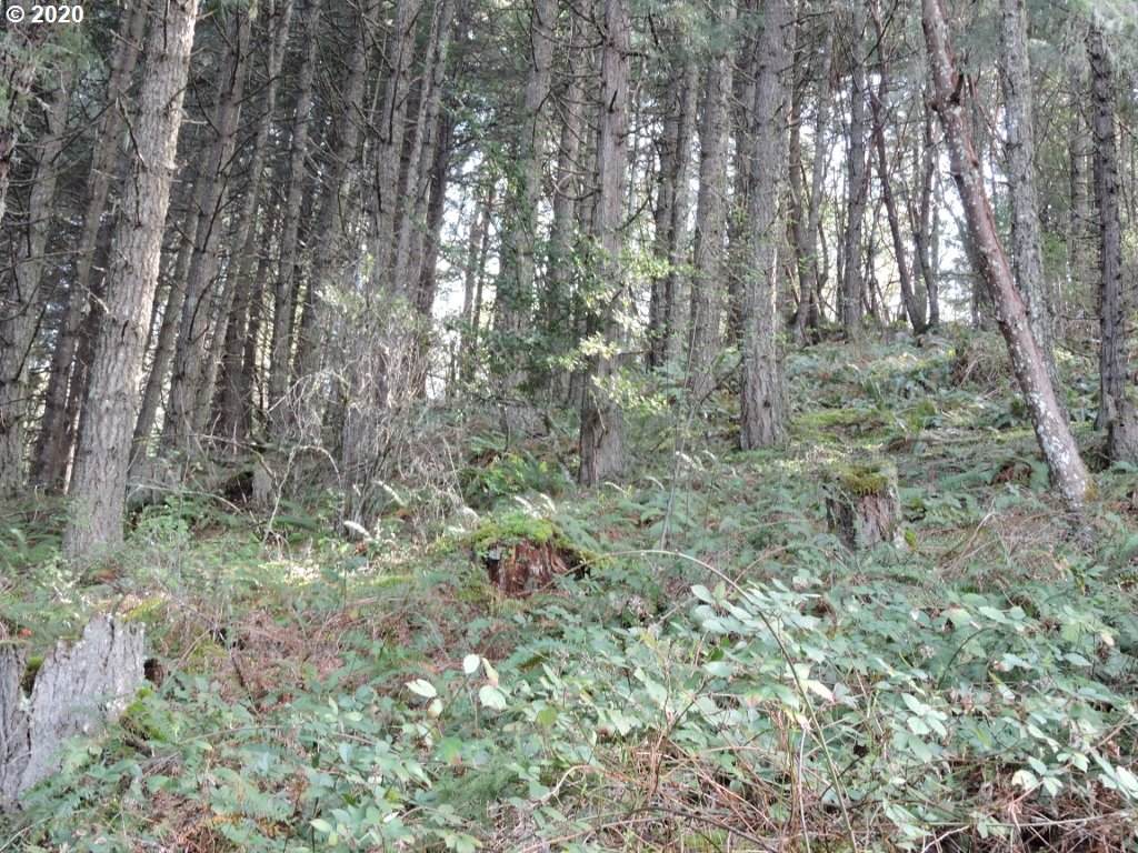 0 Boomer Hill Rd - Photo 1