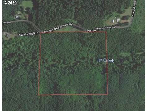 0 Old Wilson River Rd - Photo 1