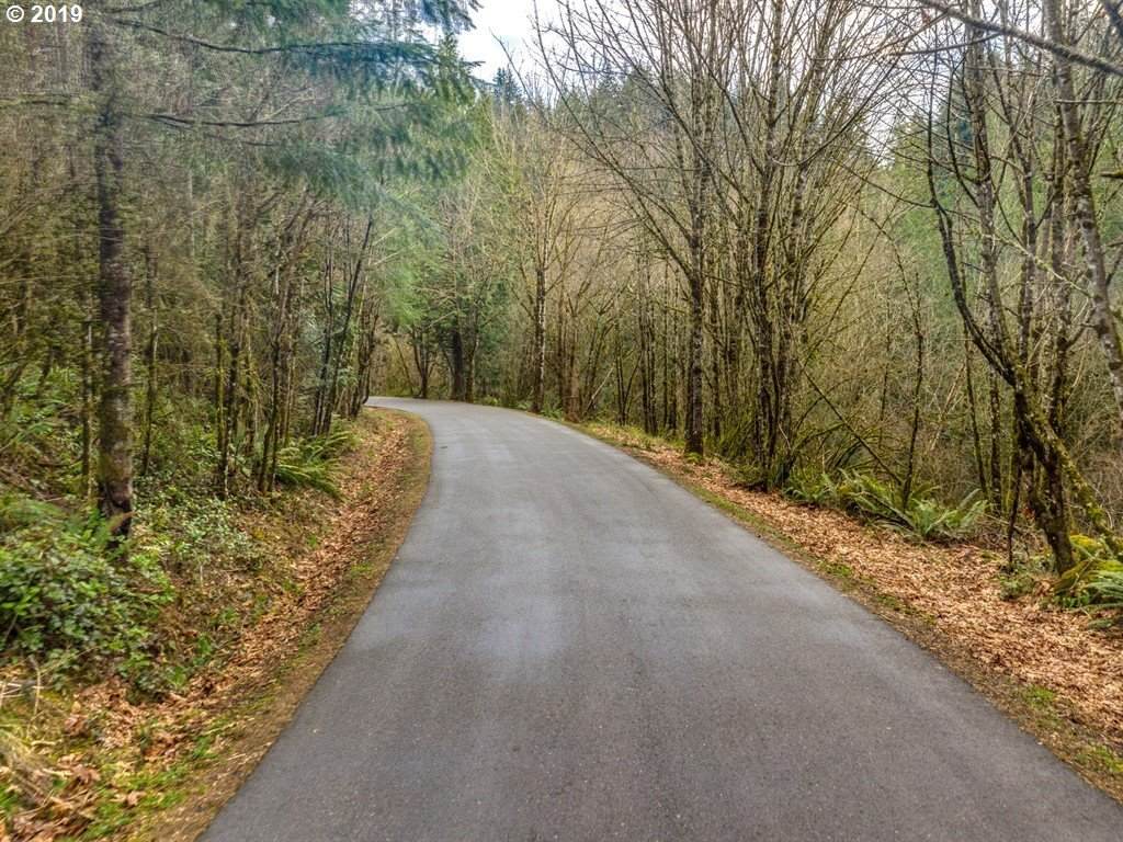 0 Echo Ridge Rd - Photo 1