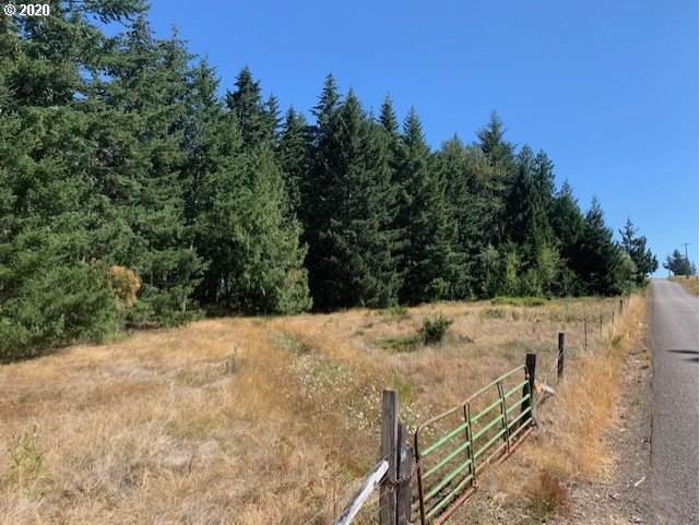 0 Trout Creek Rd - Photo 1