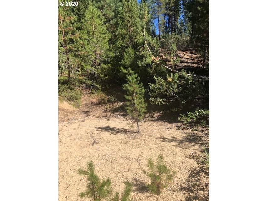 7 Red Cone Dr - Photo 1