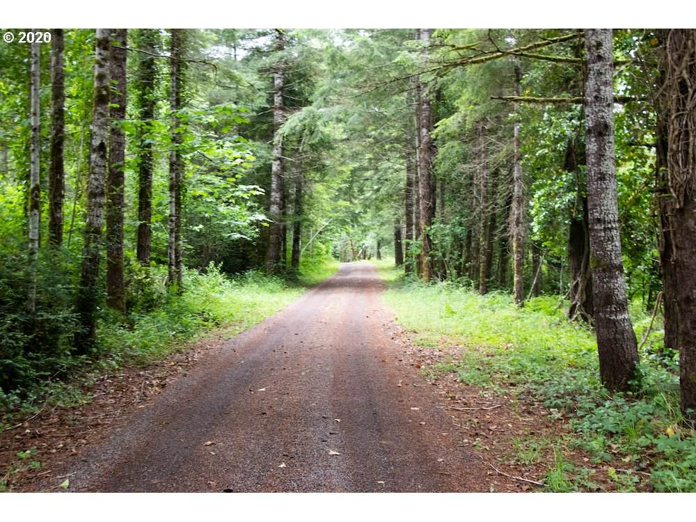 90187 Deadwood Creek Rd - Photo 1
