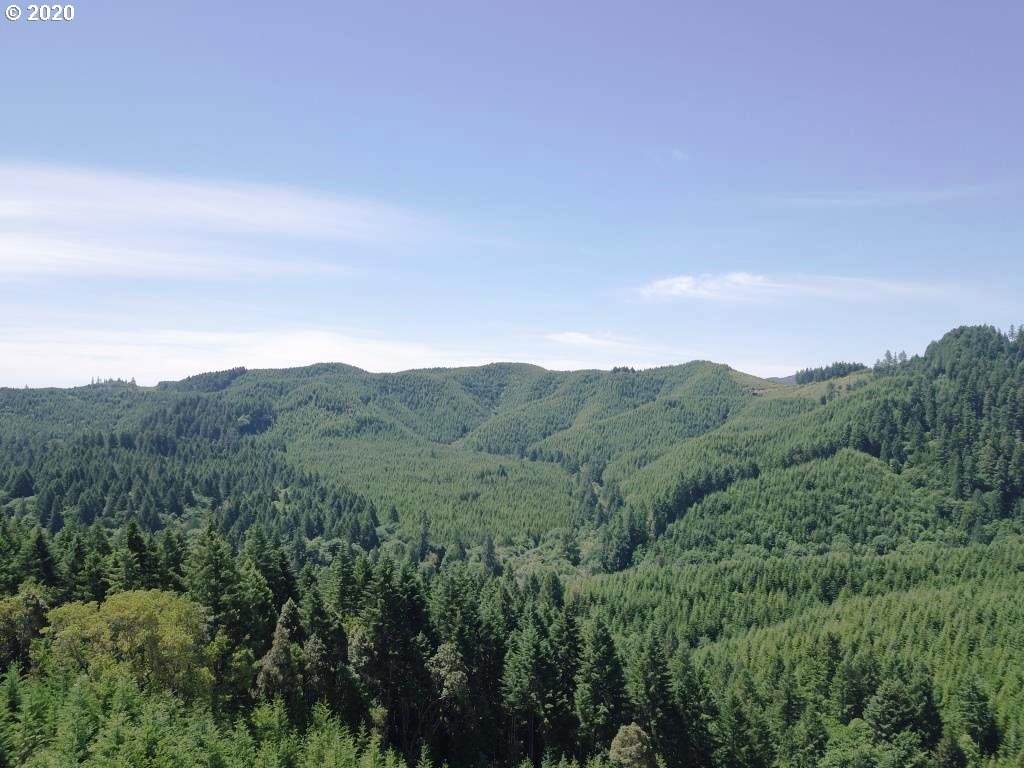 0 High Pass Rd - Photo 1